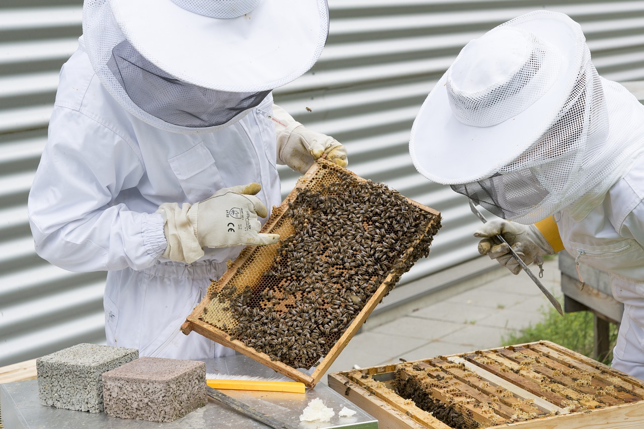 beekeeper-2650663_1280