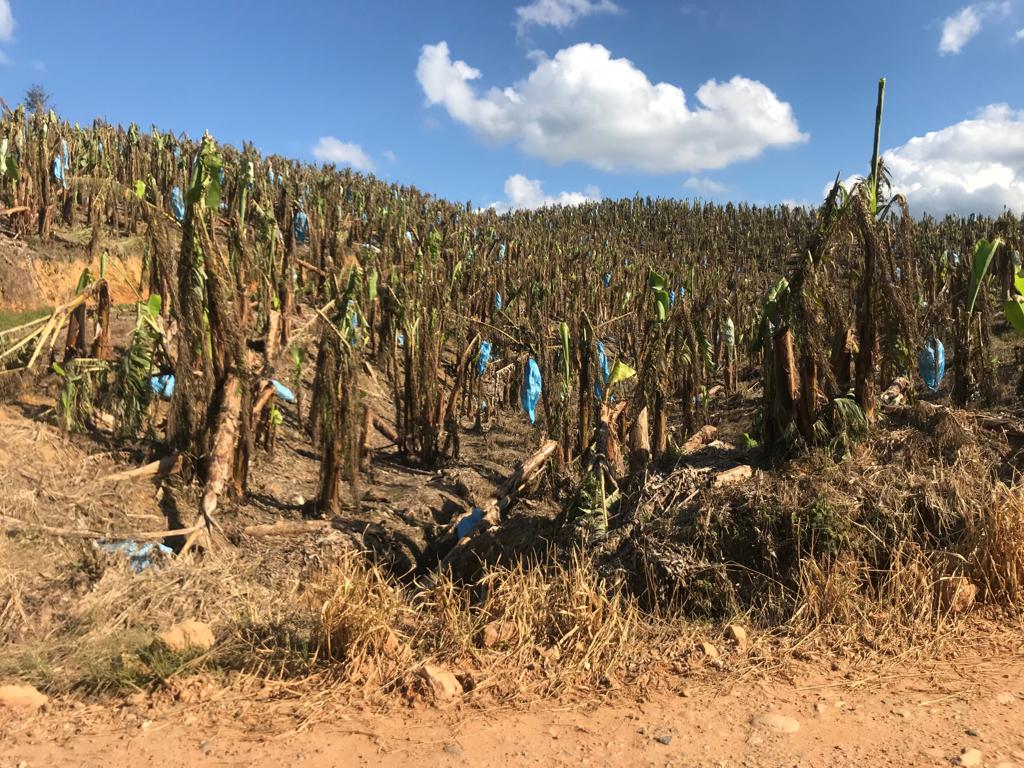 Fonte: Sindicato Rural do Vale do Ribeira