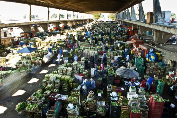 São Paulo - Trabalhadores da Companhia de Entrepostos e Armazéns Gerais de São Paulo (CEAGESP) ( Marcelo Camargo/ABr)