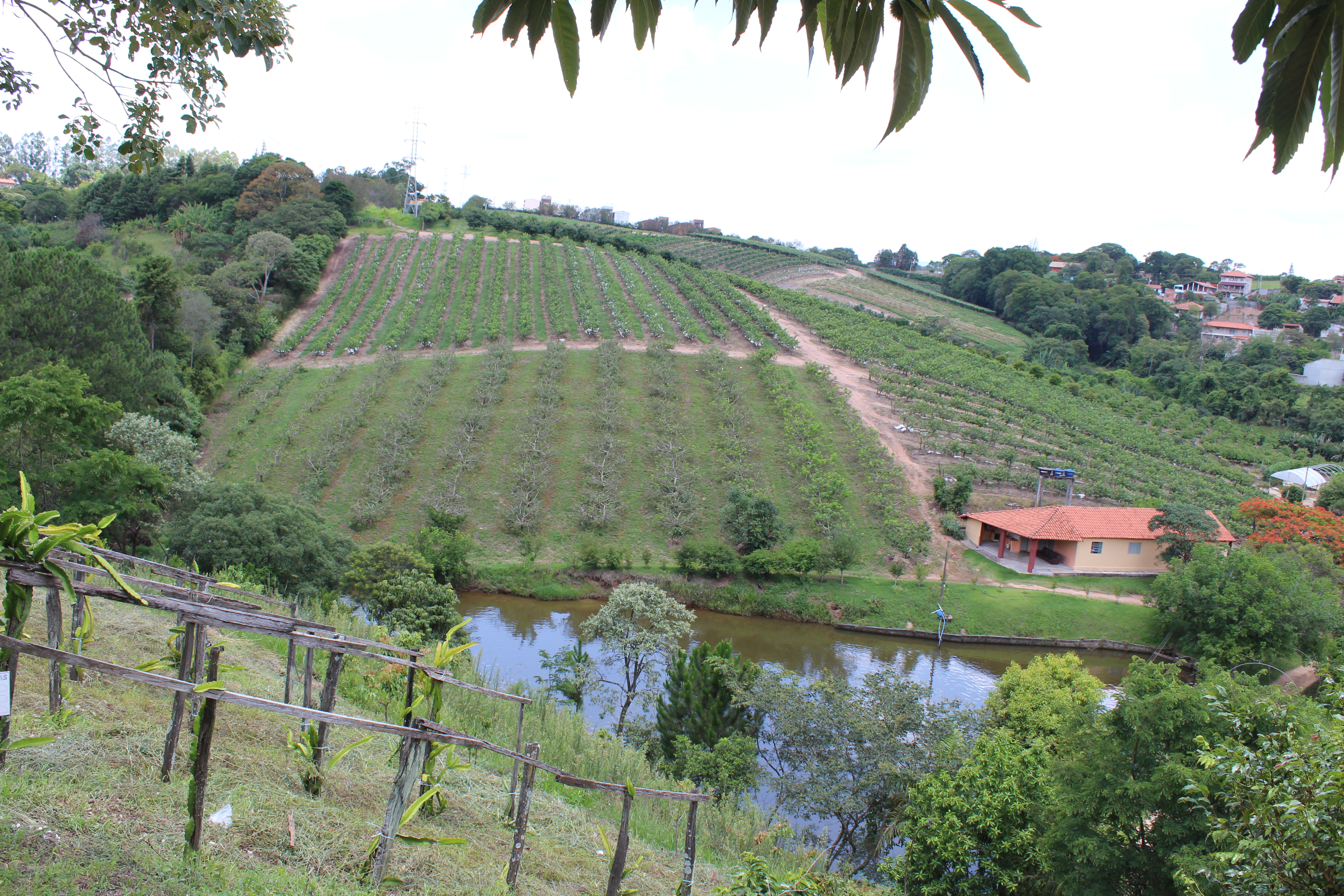 propriedade rural