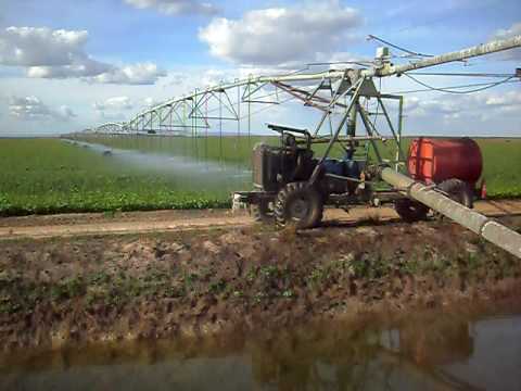 pivo irrigação