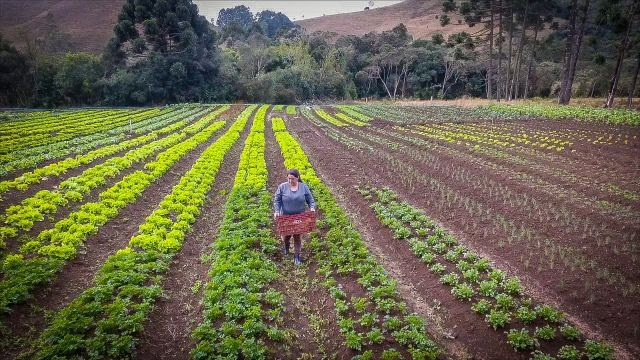 agricultor no campo secretaria de agricultura