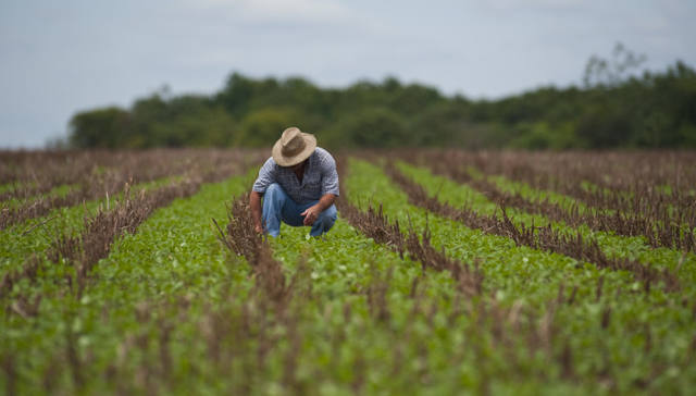 28 De Julho Dia Do Agricultor Parabéns Aos Que Alimentam A Nação