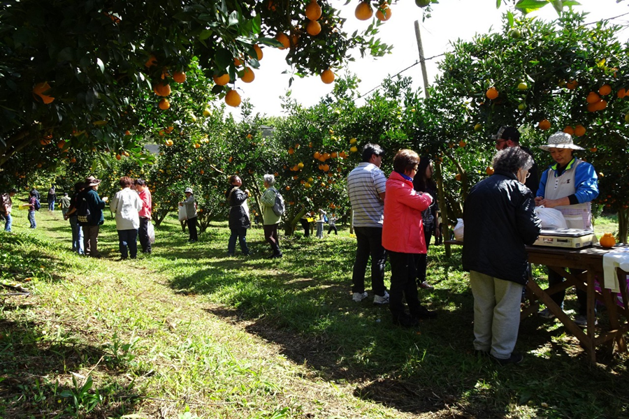 fazenda de turismo rural