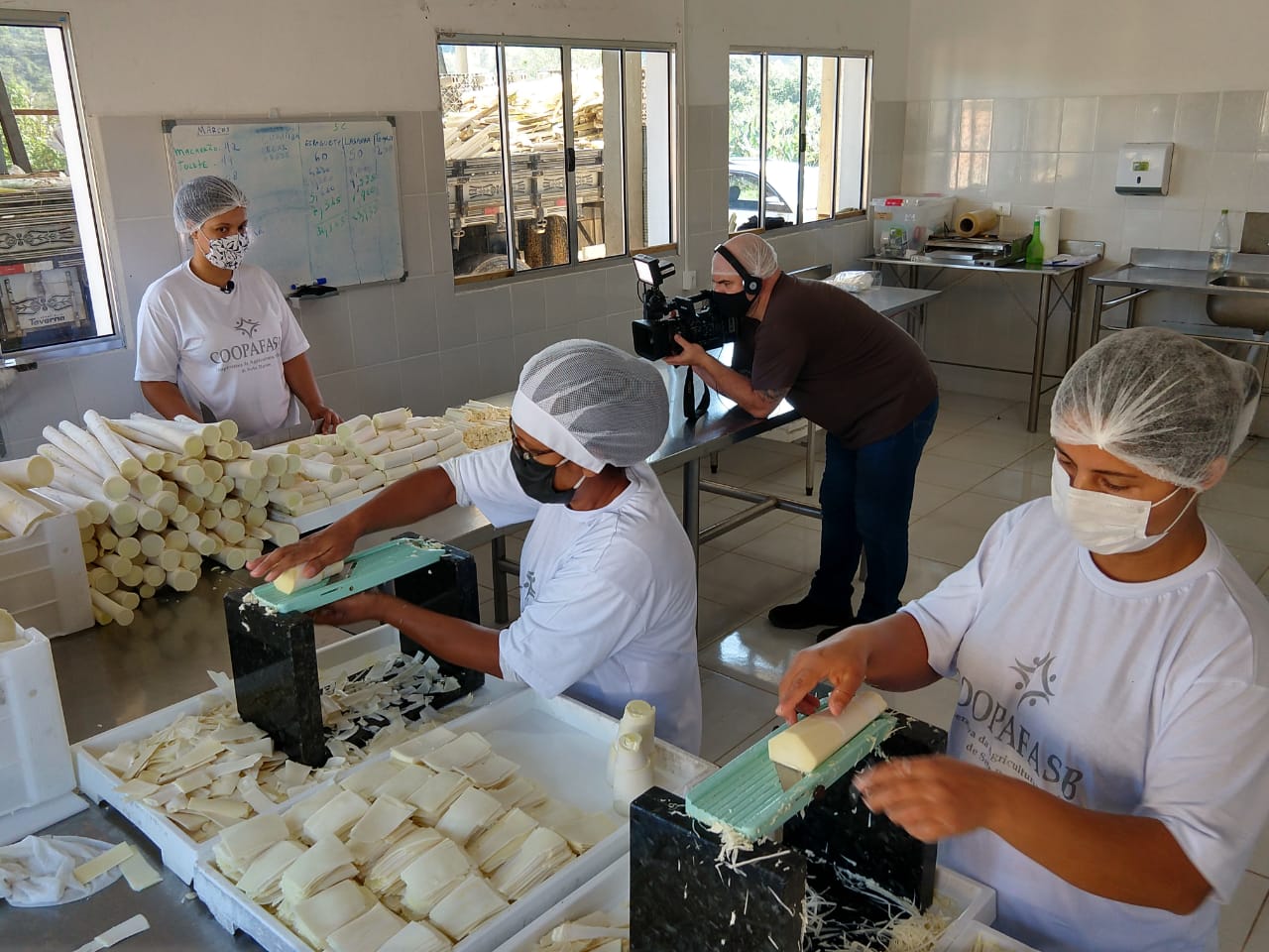 cooperativa de processamento de alimentos