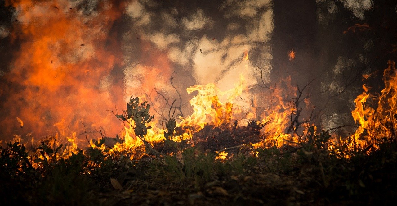 Incêndios no campo