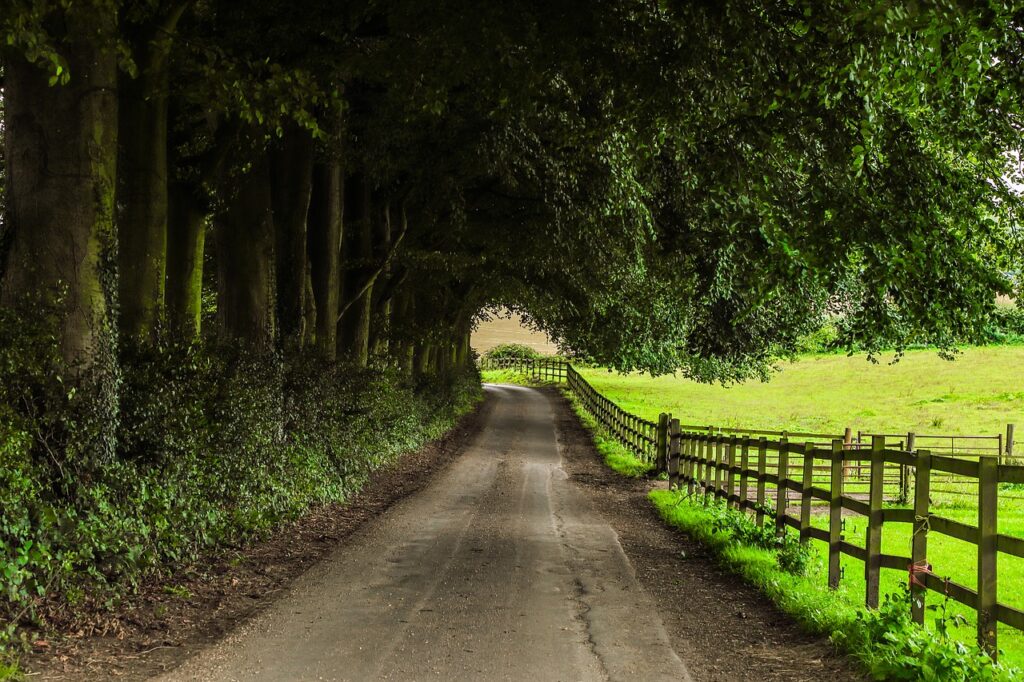 Estrada de terra às margens de cerca de fazenda