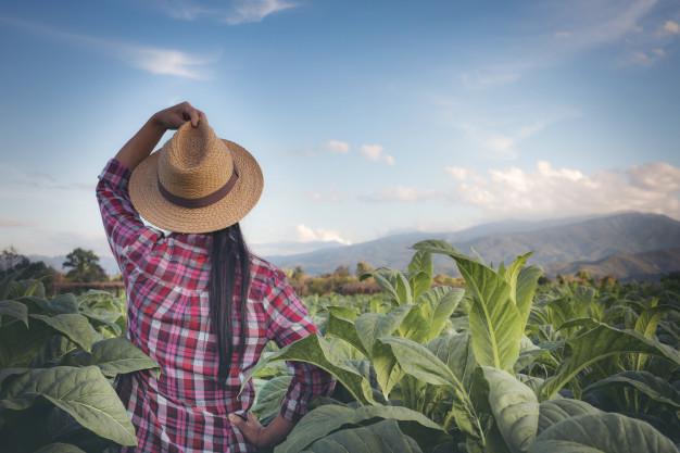 Produtora Rural no campo