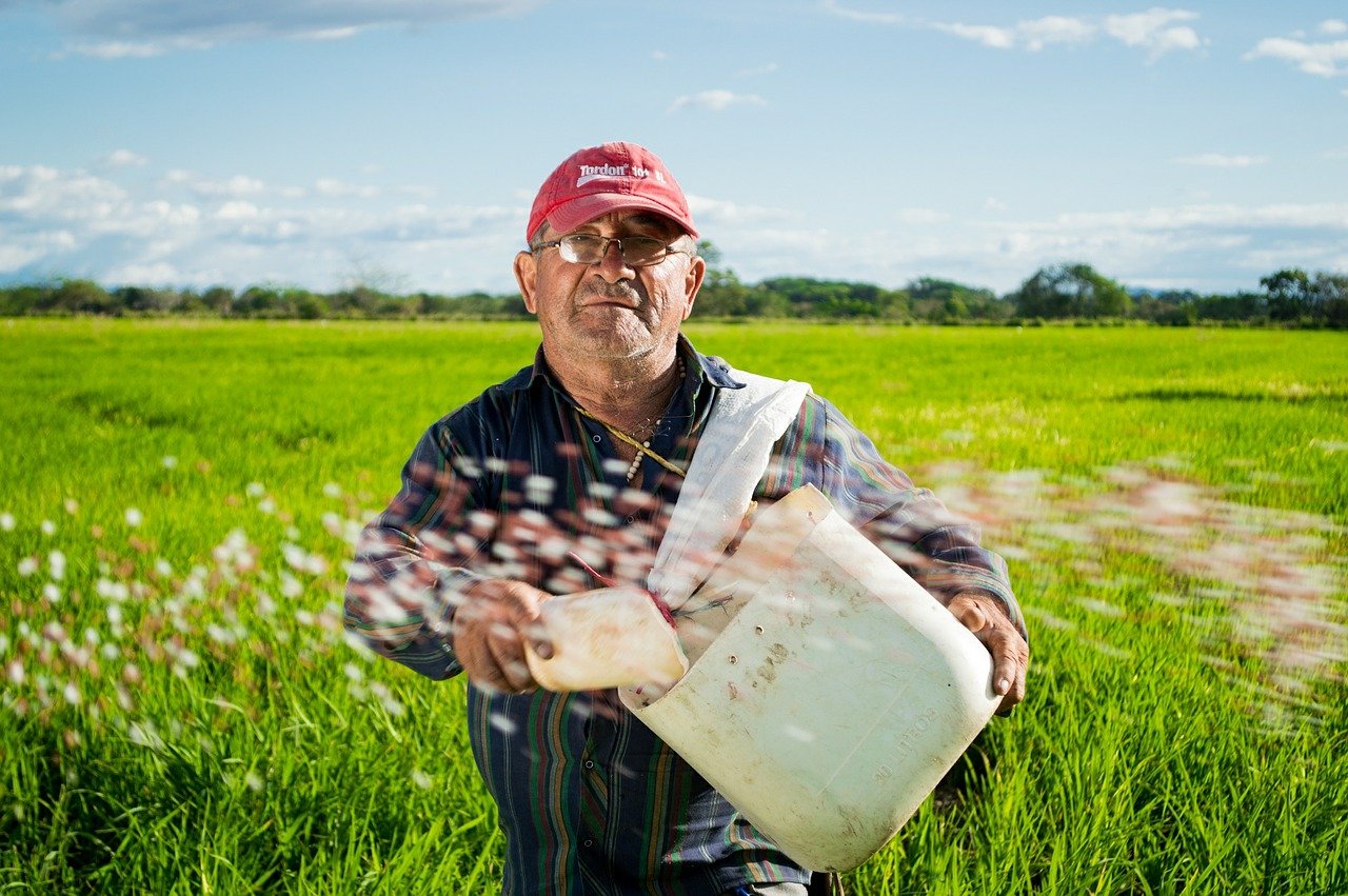 brasil-potencial-agricola-pirassununga