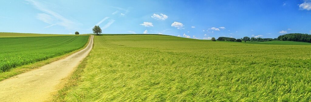 Paisagem de pasto verde em fazenda em post sobre DAP