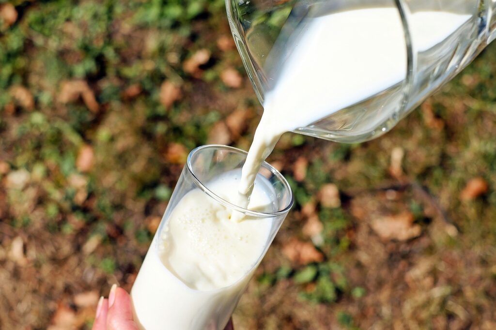 Santa Rita do Passa Quatro aposta na produção de leite orgânico