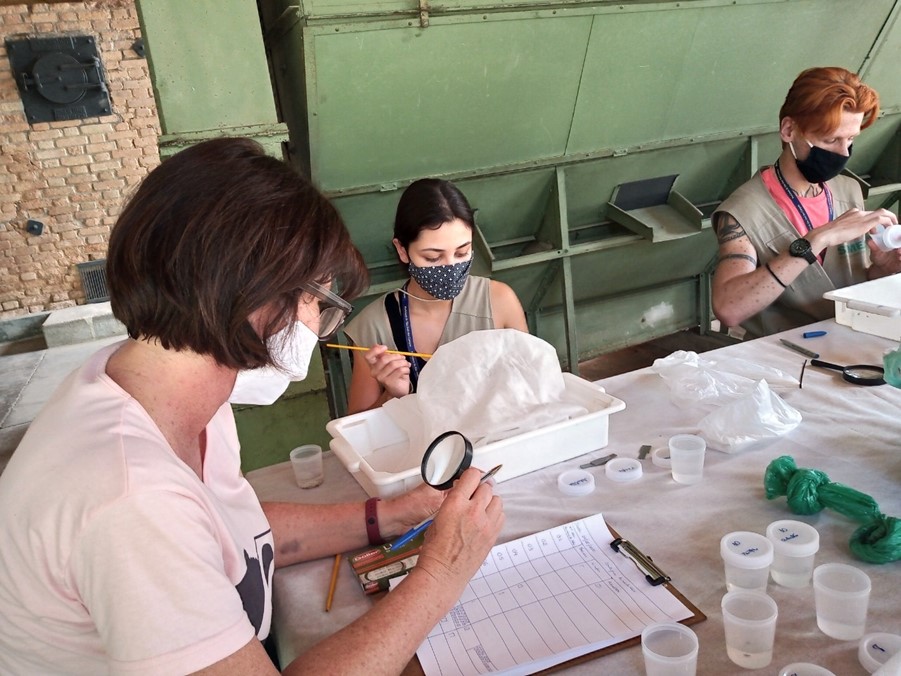 Biocarrapaticida desenvolvido pelo Instituto Biológico é utilizado no controle de carrapato-estrela em São José dos Campos