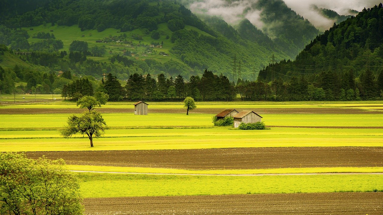 Câmara aprova projeto que prevê pagamento a agricultores por serviços ambientais