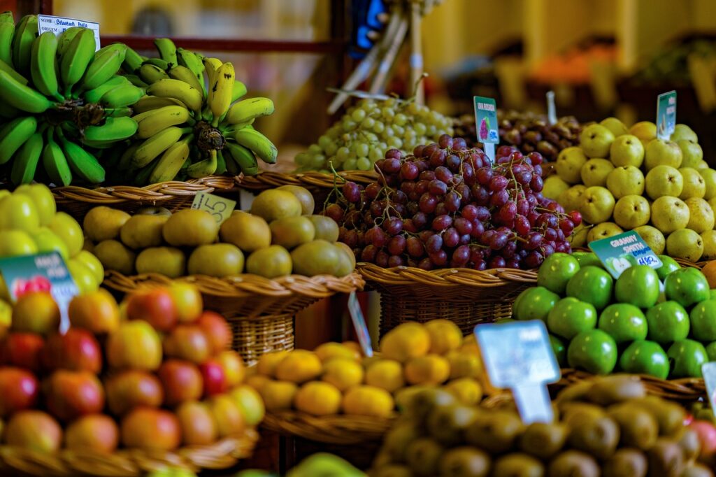 AgroSP: plataforma é lançada para conectar produtor rural a compradores