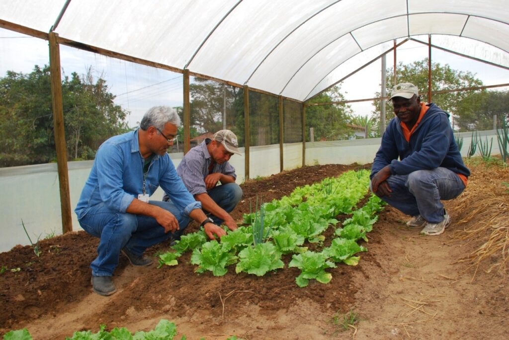 Extensionista Rural: agente de transformação social, econômica e ambiental