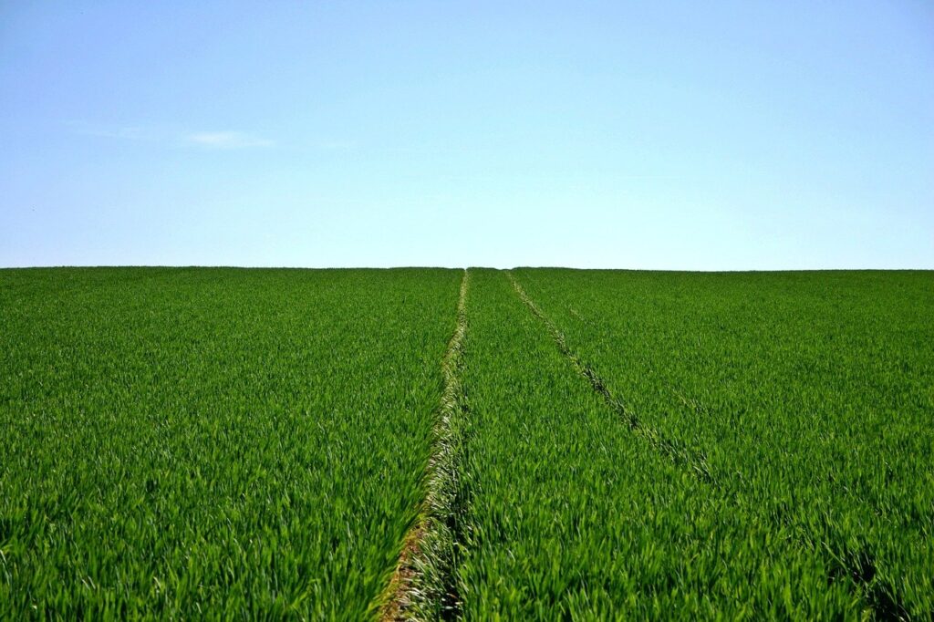 Faesp dialoga com governo paulista para reverter impacto do ajuste fiscal no agro