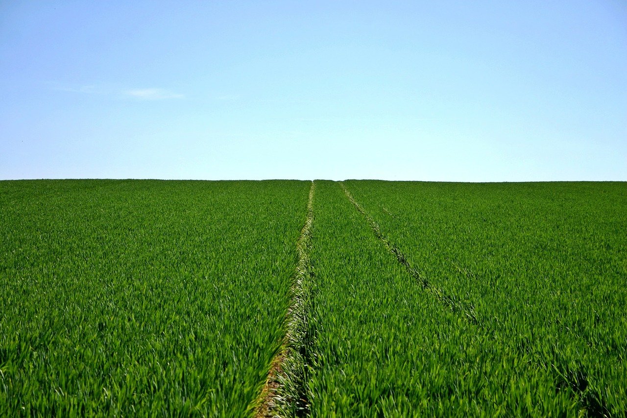 Faesp dialoga com governo paulista para reverter impacto do ajuste fiscal no agro