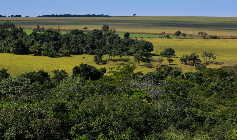 Proprietários rurais que quiserem acessar o Programa de Regularização Ambiental devem fazer o CAR até dia 31/12