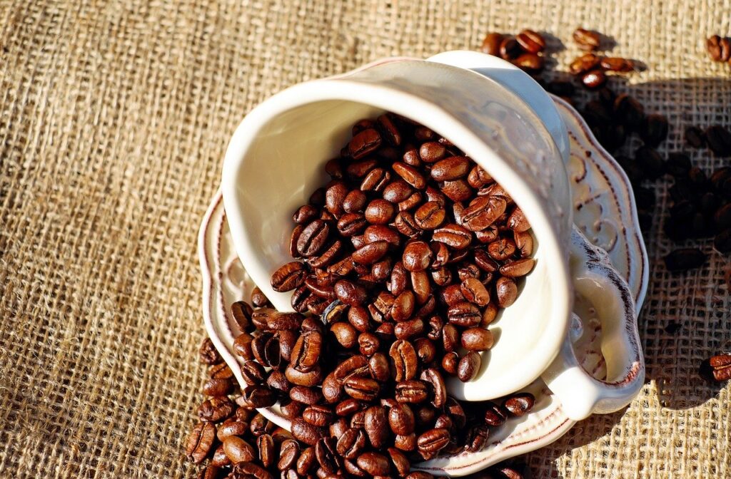 Conheça o passo a passo para cultivo e comércio de café