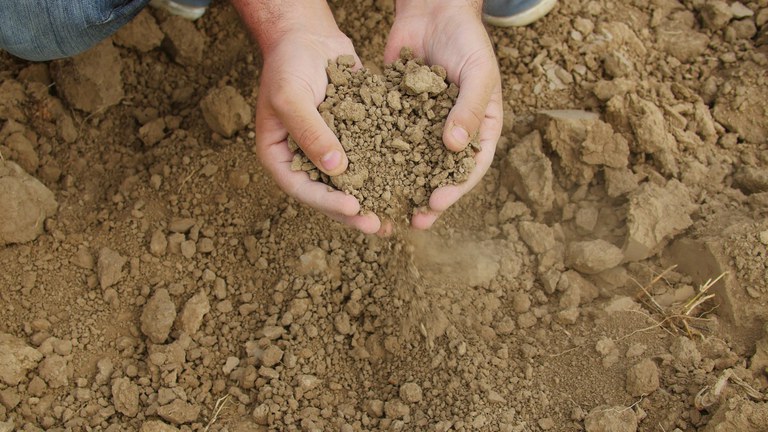 Mais de 197 mil agricultores familiares vão receber benefício do Garantia-Safra de 2019/20