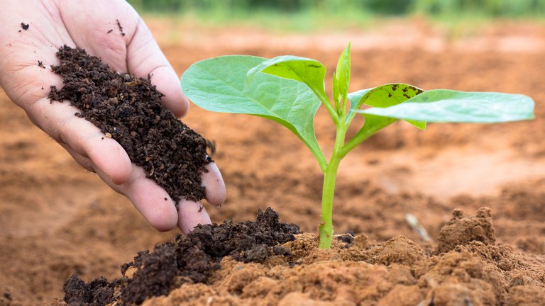 Grupo Interministerial irá elaborar Plano Nacional de Fertilizantes