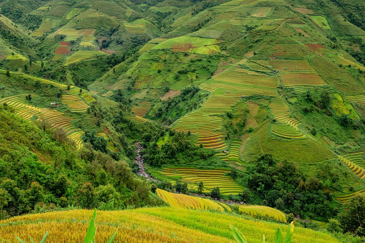 Sindicato Rural de Lavras do Sul e Lance Rural fecham parceria