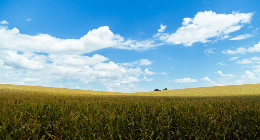 Governo de SP concede R$ 27 milhões para subvenção de Seguro Rural