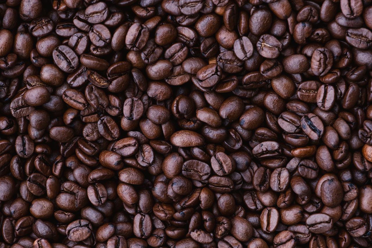 Via seca ou úmida na produção do café? O SENAR-SP responde