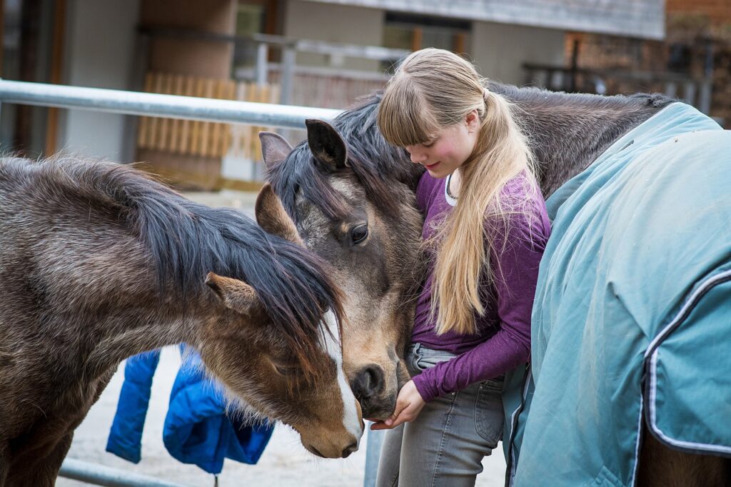 Curso do SENAR-SP ensina boas práticas no manejo de equídeos