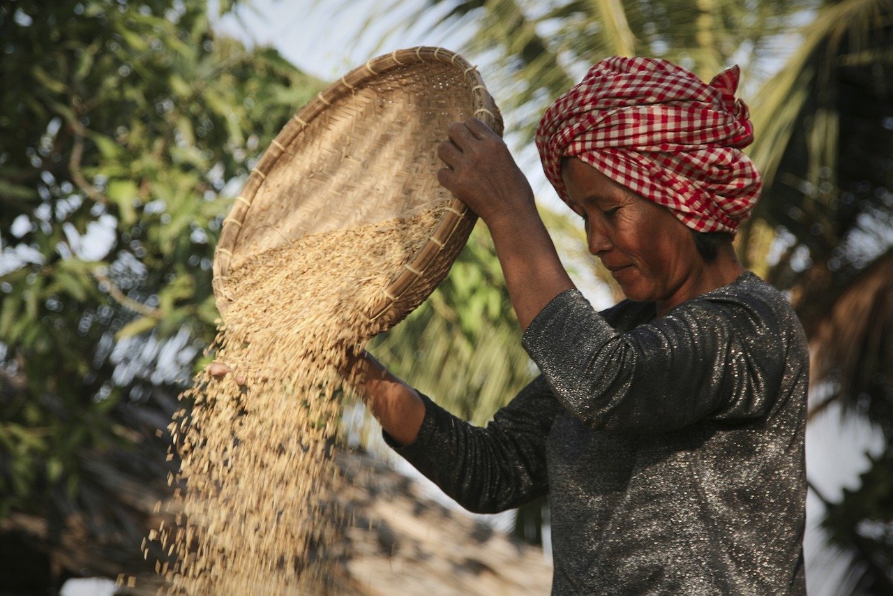 Conheça a história de mulheres que fazem a diferença na agricultura familiar