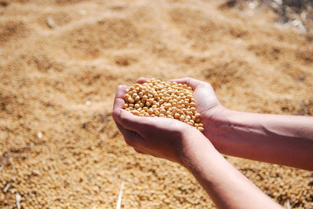 Segundo dados do Cepea (Centro de Estudos Avançados em Economia Aplicada) e Esalq (Escola Superior de Agricultura Luiz de Queiroz), o preço da soja registra alta de 1,10% e o valor do café arábica sofreu queda de 0,96%.