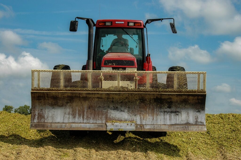 Confira 7 dicas para produzir silagem de milho com qualidade