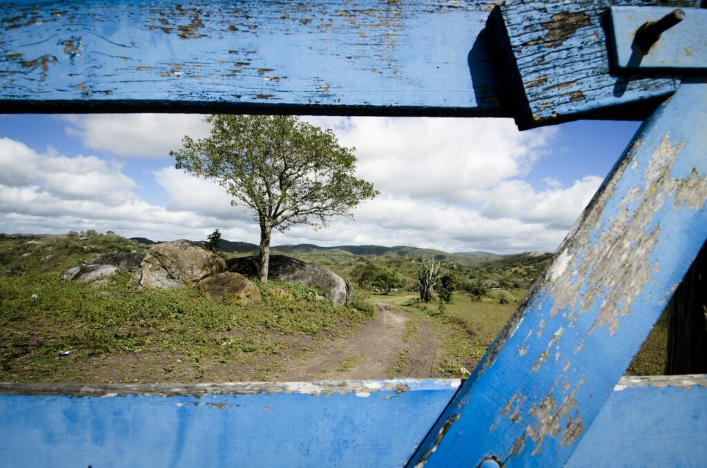 Em novo formato, Técnica Rural volta à programação neste domingo