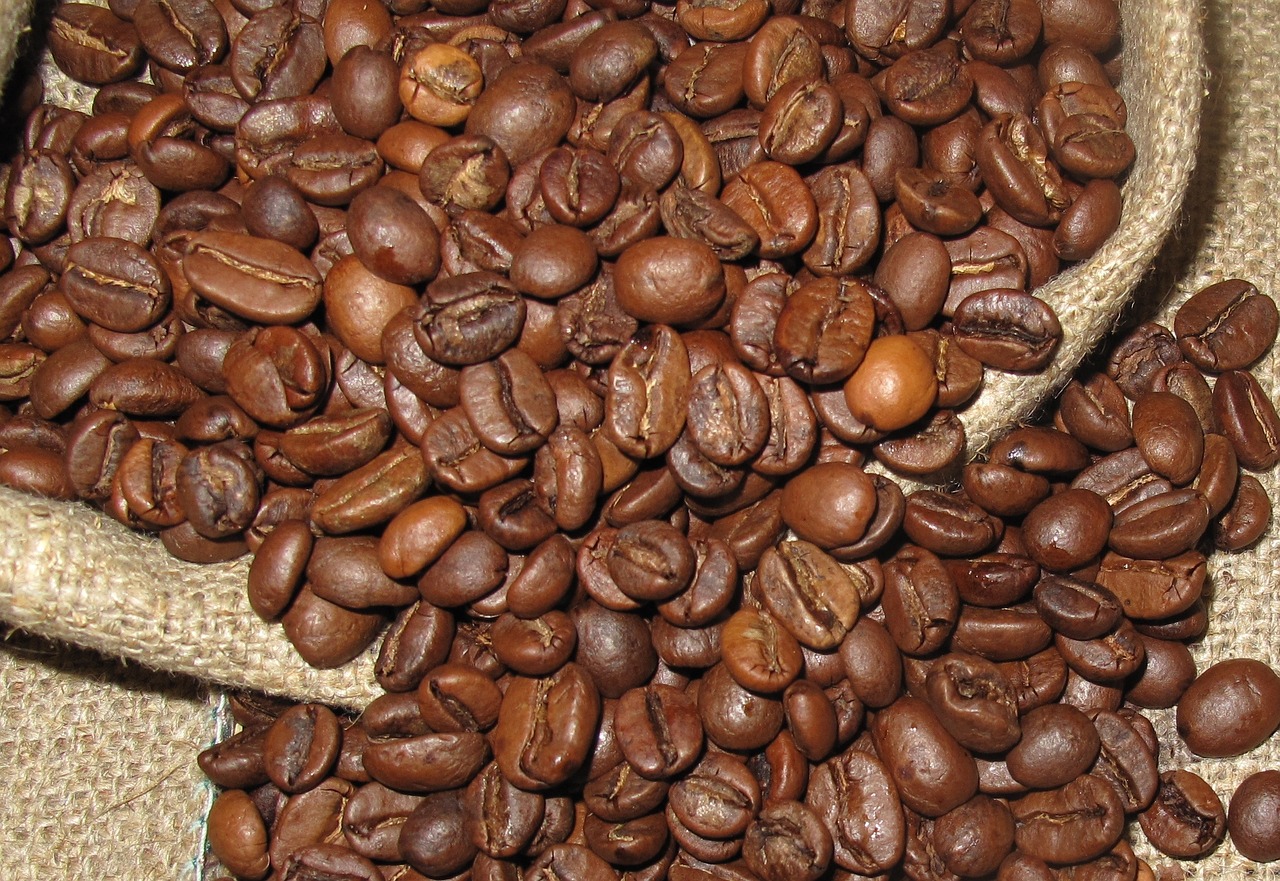 Semana começa com baixa nos preços de café arábica e soja