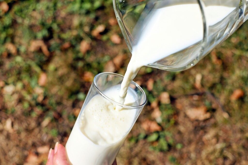 Preço do leite ao produtor tem alta de 2,79%; veja mais cotações