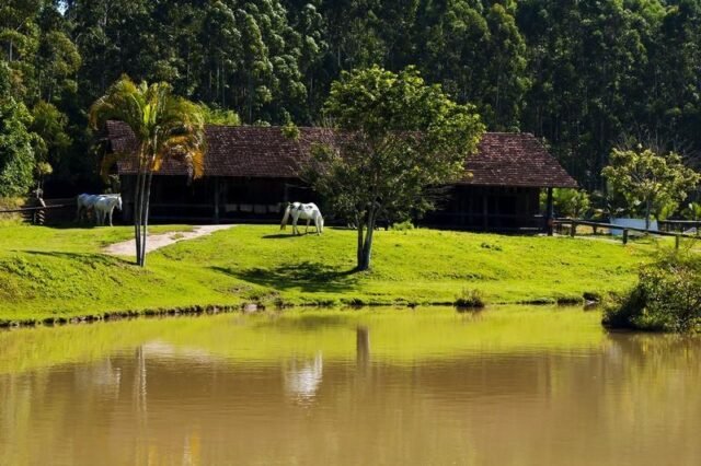 Sindicato Rural de Lavras do Sul e Lance Rural fecham parceria