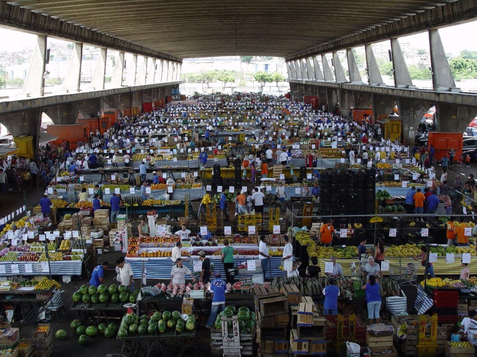 Ceagesp abre licitações para áreas de comercialização no estado de SP