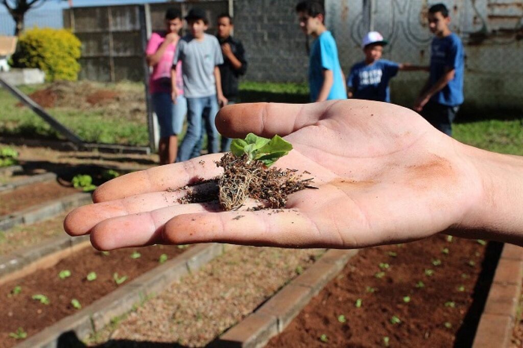 3 lições que o SENAR-SP dá a jovens empreendedores rurais