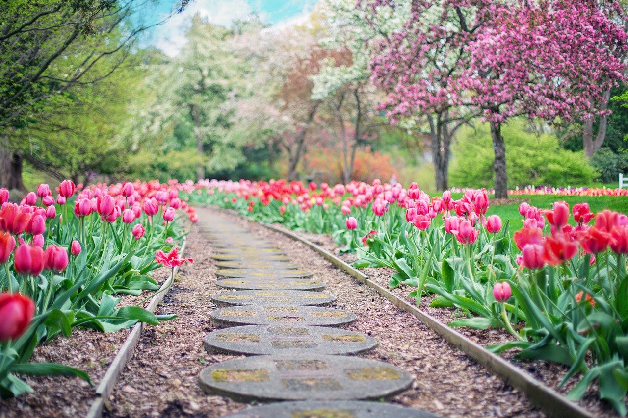 Curso de jardinagem oferece oportunidade de emprego e belas paisagens