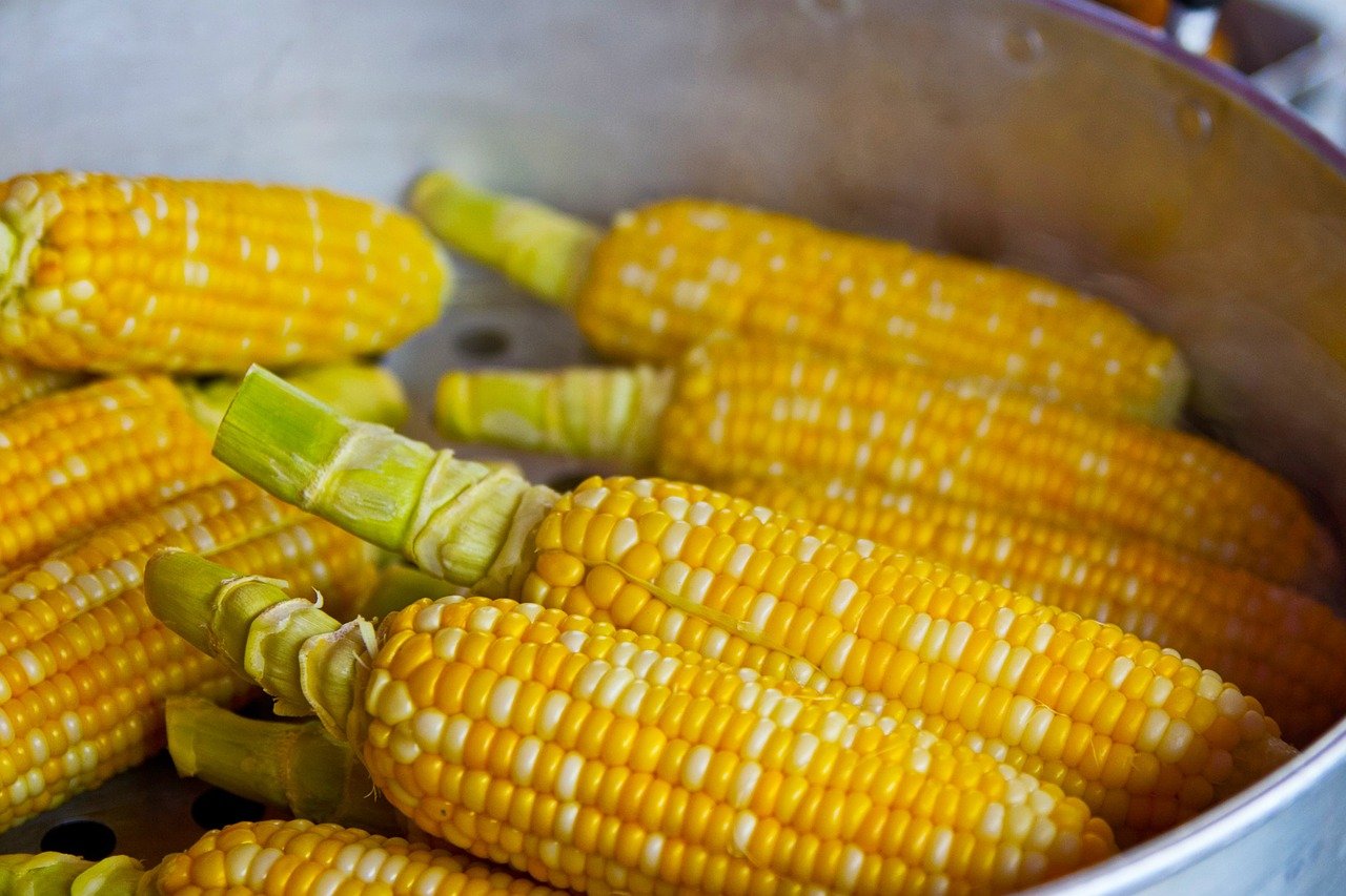 Conheça 7 benefícios do milho para a saúde