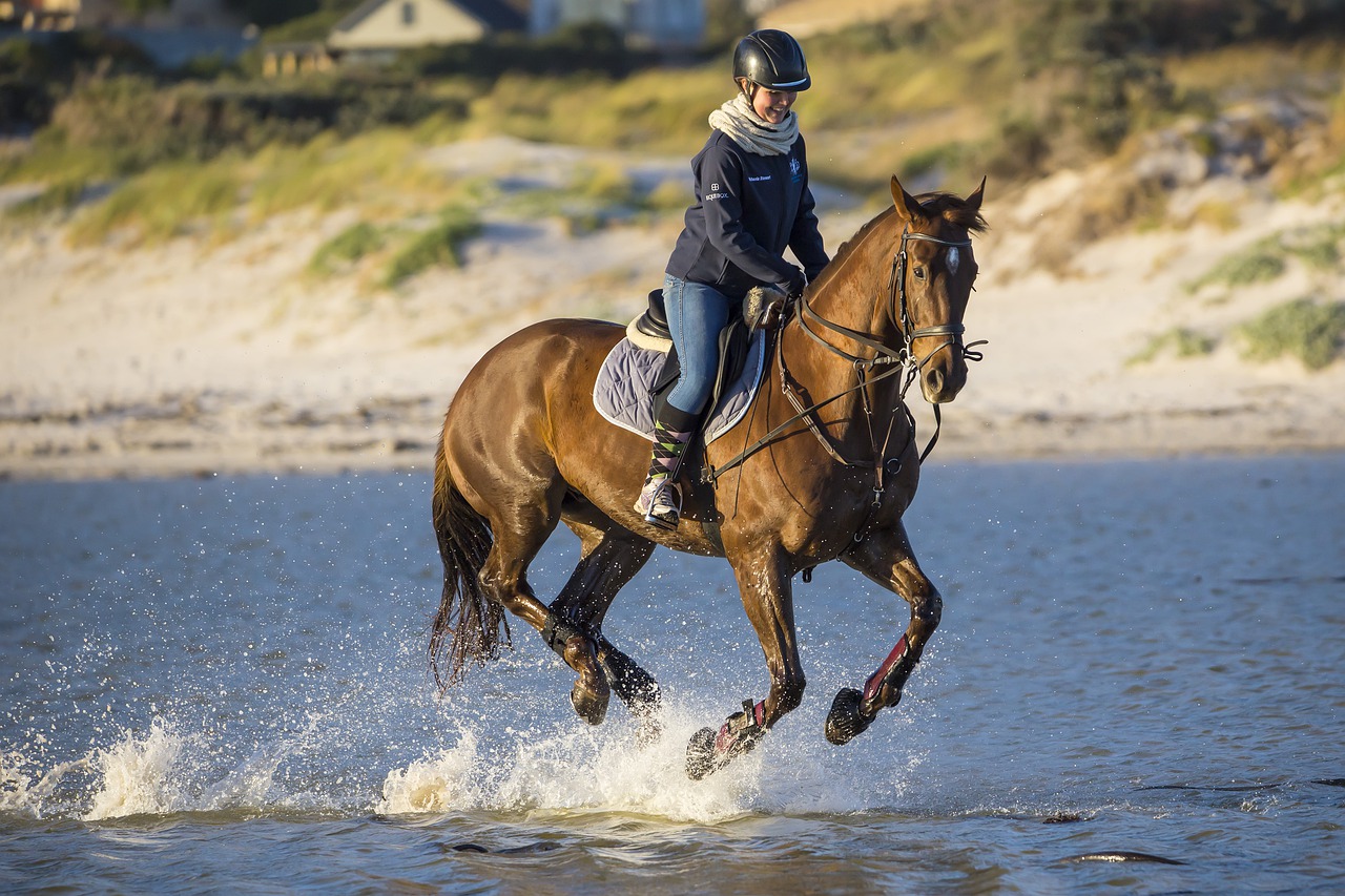 Passaporte Equestre: sindicato rural alerta para cumprimento de normas sanitárias