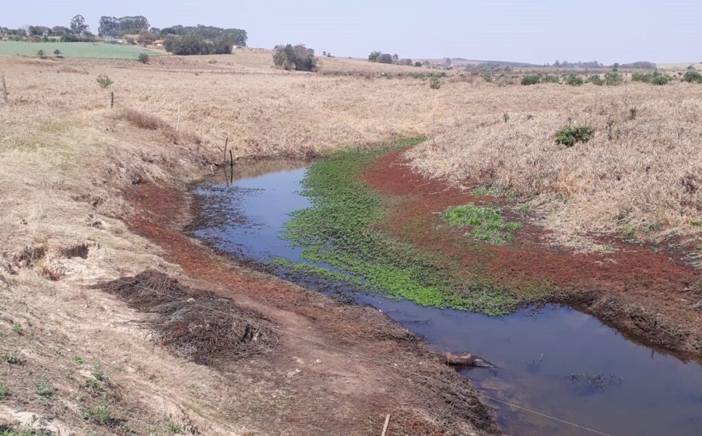 Estiagem compromete produção em Campos de Holambra