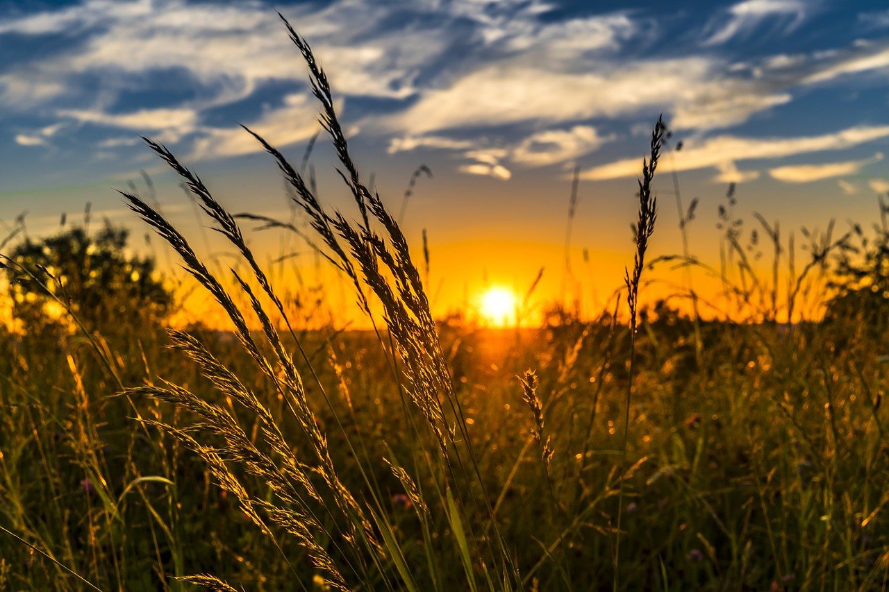 Semana terá alta nas temperaturas do estado de SP