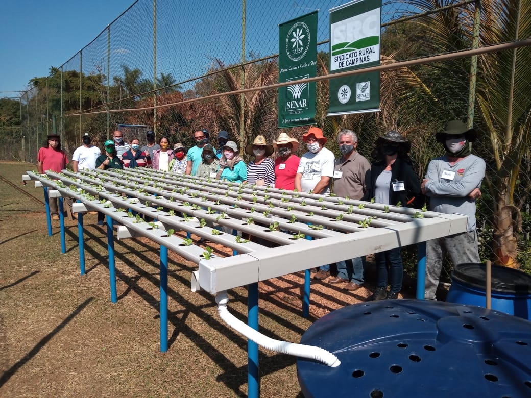 Aquaponia: técnica associa produção de hortaliças com criação de peixes