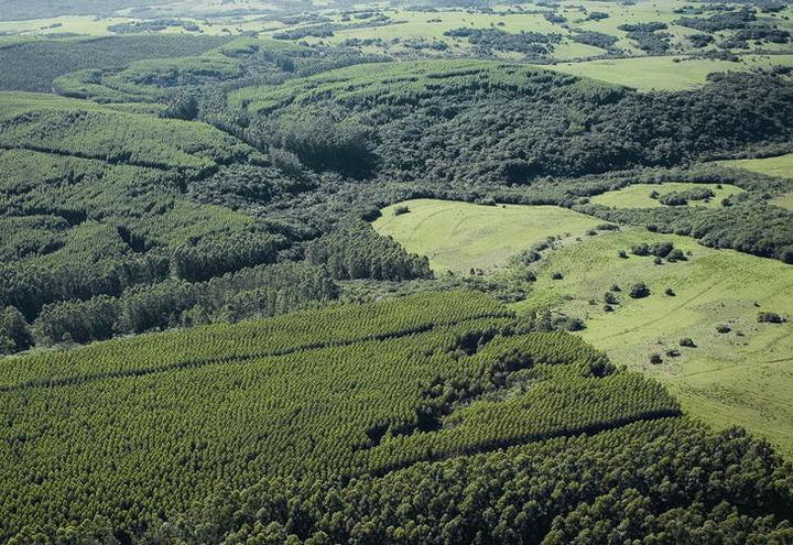 Secretaria da Agricultura de São Paulo ressalta benefícios do PRA e do CAR