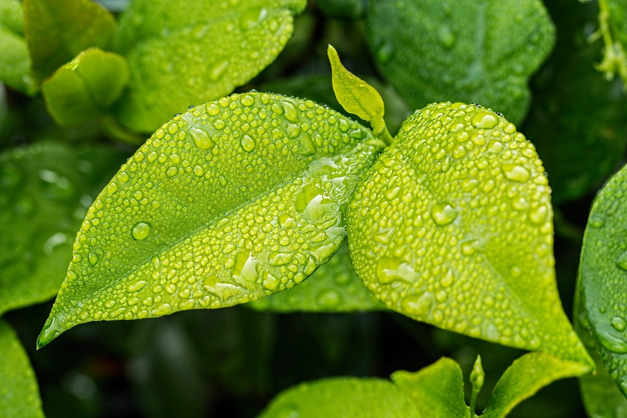 O impacto da primavera no agronegócio