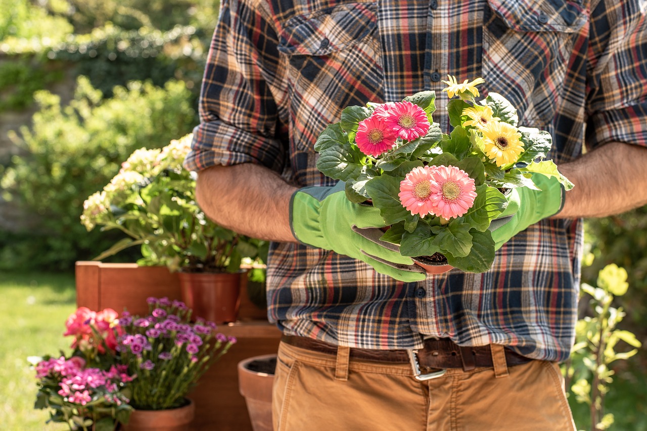 Socorro tem inscrições abertas para curso de jardinagem do SENAR-SP