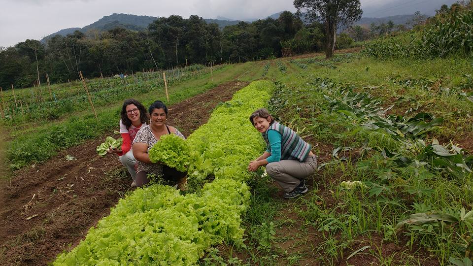 CATI/CDRS: a importância da extensão rural