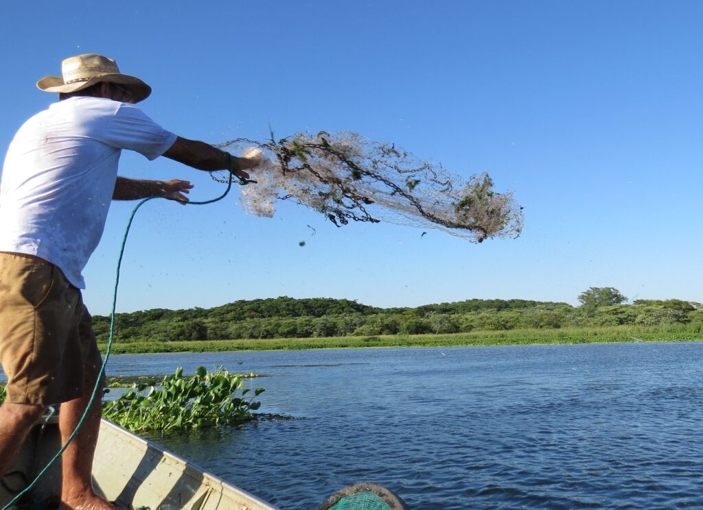 Defeso da piracema: veja o que é proibido e permitido neste período