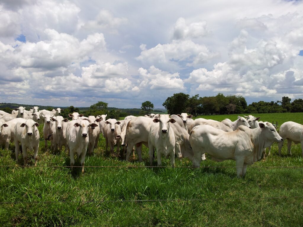 Gedave e segurança no campo serão temas de Caravana do SENAR-SP